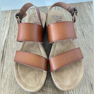 Blowfish brown strappy chunky wedge platform heel. Size 9. Like new condition.